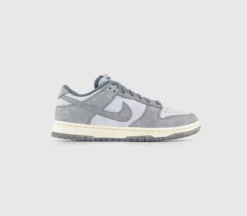 Nike Dunk Low Trainers