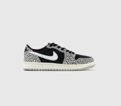 Air Jordan 1 Low Trainers W
