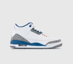 Air Jordan 3 Trainers
