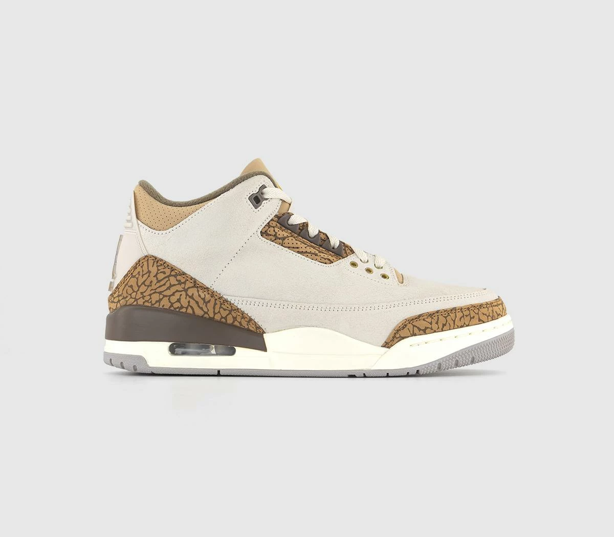 Jordan 3 Trainers