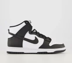 Nike Dunk Hi Trainers