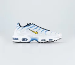 Nike Air Max Plus Traniers